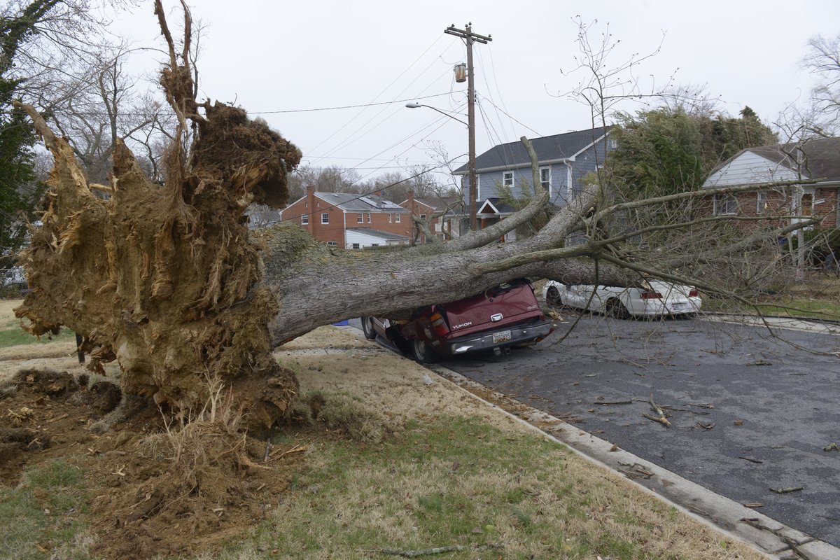 Strong Winds Cause Power Outages Across Region - The Washington Informer