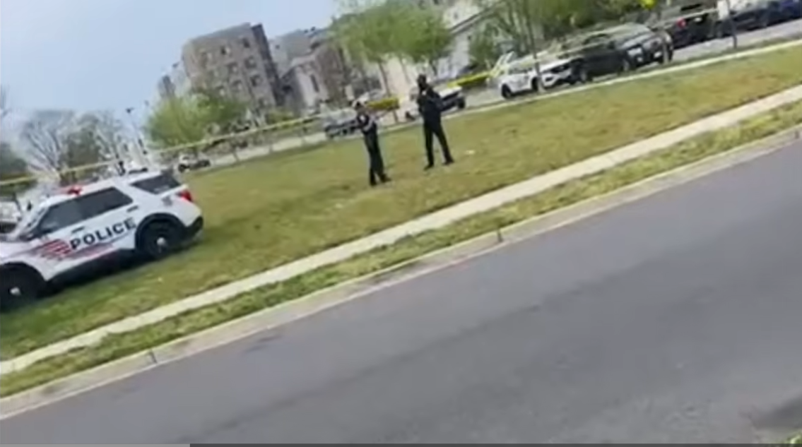 Young Man Found Hanging from Tree in Northwest, MPD Issues Public Statement Days Later