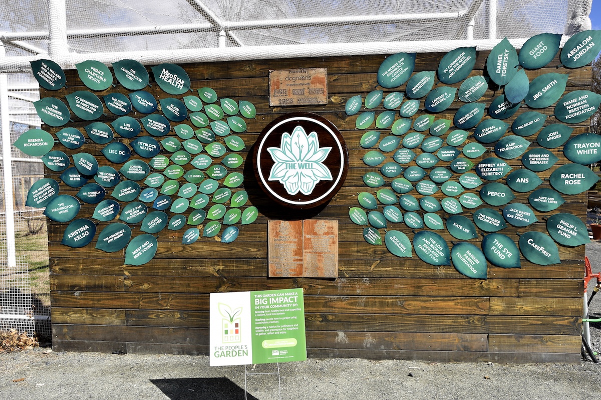 District Sustainability Award Winners Encourage Extensive Environmental Action