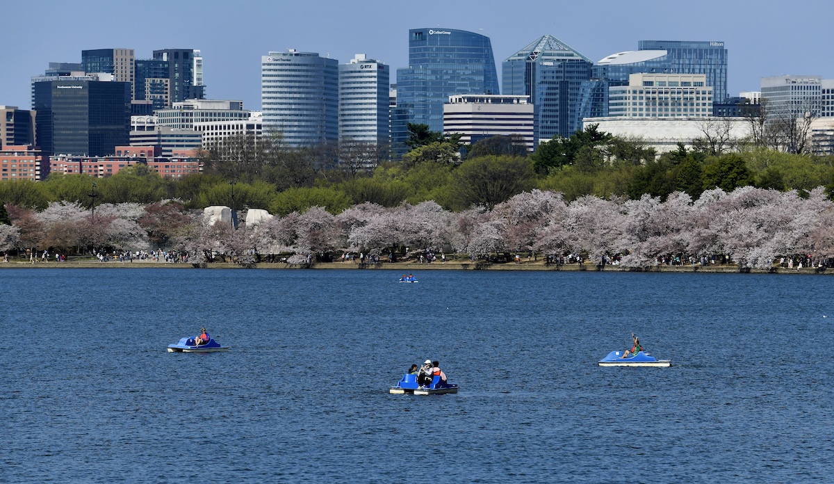 A Dry Spring, Hot Summer Put Potomac River at Risk